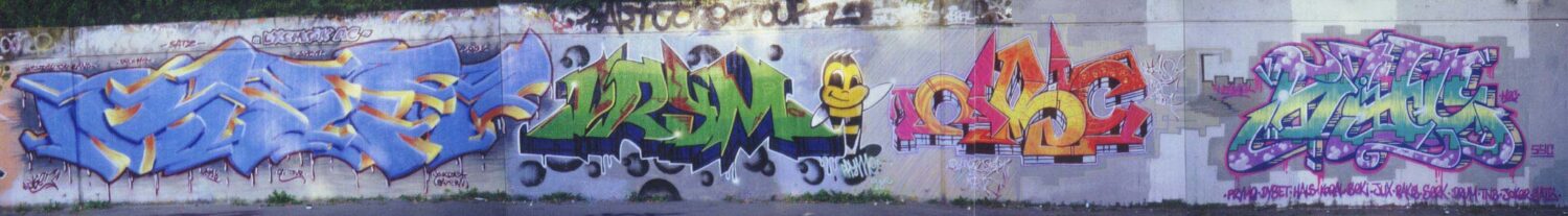 The Beginnings 1996 - 1998 - Various, 1996 - 1998 (DYSET)